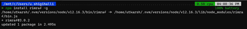 npm-install.png